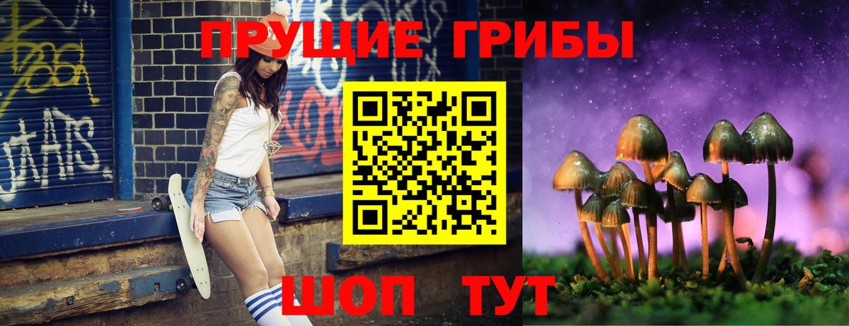 Псилоцибиновые грибы мицелий Уфа