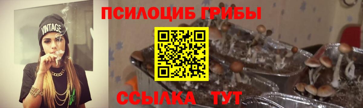 Уфа  Галлюциногенные грибы Magic Shrooms  Вход с VPN 